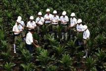 Asian Agri Komitmen Kembangkan Energi Terbarukan