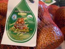 Buah Salak