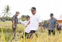 *Caption Foto : Wakil Bupati H. Slamet Seno Sentono, SH, didampingi Kepala BB Padi Dr. Priatna Sasmita 
