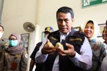 Mentan Amran Sulaiman saat memegang anak ayam
