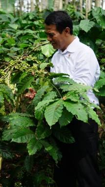 Mentan Amran Sulaiman di Kebon Kopi