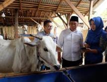 XL Axiata Bangun Solusi Digital Swasta Nusantara (Foto Dok Industry.co.id)