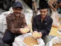 Tujuh Puluh Ribu Ton Jagung Pakan Siap Distribusi