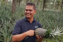 Dirjen Hortikultura Kementan Suwandi saat memegang Nanas di Subang.
