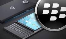 Black Berry (Foto Dok Industry.co.id)