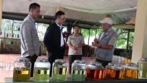 Sekjen Kementan Syukur Iwantoro saat meninjau tanaman industri dan penyegar.