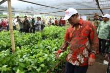 Mentan Andi Amran Sulaiman (Dok Industry.co.id)