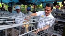 Mentan Andi Amran Sulaiman (Dok TribunNews)