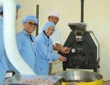Menteri BUMN Rini Soemarno (Dok Industry.co.id)