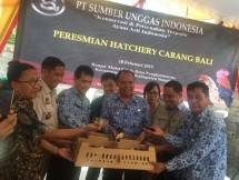 Peternakan dan konservasi terpadu ayam asli Indonesia