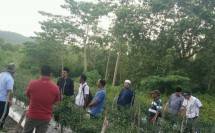 Riny Fitrianti: Sistem Pertanian Terpadu Angkat Ekonomi Petani