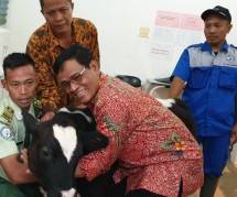 Kementan Dorong Mahasiswa Peternakan Polbangtan Jadi Penyuluh Andalan