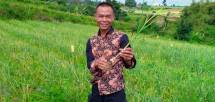 Petani Cianjur