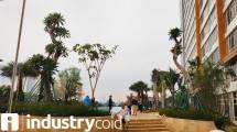 Apartemen Skandinavia