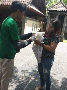 Pastikan Ada Kemajuan, Kementan Evaluasi Program Pemberantasan Rabies di Bali