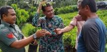 Kementan Dorong Magelang Sentra Pembibitan Sawo Raksasa, Alpukat Kendil dan Klengkeng Kateki