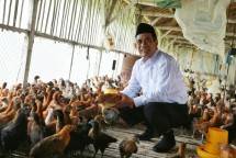 Dorong Ekspor, Kementan Tingkatkan Daya Saing Pelaku Usaha Sektor Peternakan