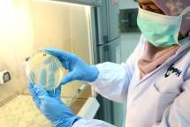Kementan Gandeng FAO dan WHO Evaluasi Rencana Aksi Nasional Atasi Resistensi Antibiotik