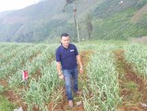 Humas Kementan di antara tanaman bawang putih