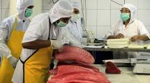 Ekspor Ikan Tuna (Foto IST)