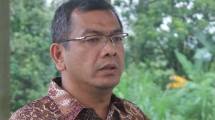 Calon Walikota Payakumbuh, Riza Falepi