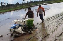 Pertanian Korporasi Berbasis Mekanisasi untuk Modernisasi Pertanian