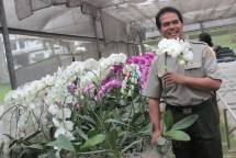 Suwandi, Dirjen Hortikultura Kementan