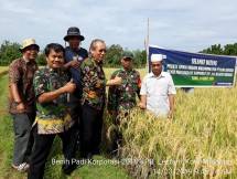 Benih Varietas Unggul Tingkatkan Produksi Padi