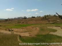 Kekeringan di sebuah persawahan