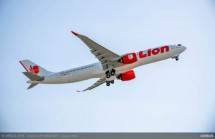Lion Air (Foto Dok Industry.co.id)
