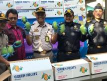 Ekspor Mangga di Denpasar, Bali