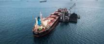 PT Pelita Samudera Shipping Tbk , 