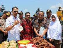 Ali Jamil, Kepala Badan Karantina Kementan saat melepas kulit Bakau Moro