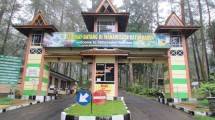 Taman Wisata Baturraden, di Banyumas (Ist)