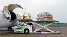 CKB Logistics Tambah Jadwal Pengiriman Kargo Pasar IBT
