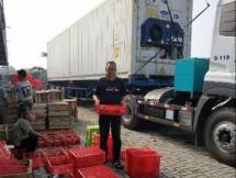 Promosi Dagang Berhasil, Kementan Tingkatkan Ekspor Produk Hortikultura