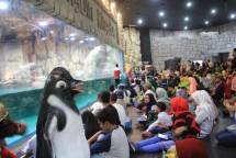 Taman Inpian Jaya Ancol