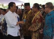 Direktur Sinar Mas Grroup Saleh Husin (Foto Dok Industry.co.id)