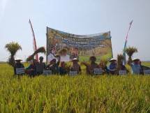Petani Sragen