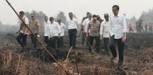 Presiden Jokowi: Karhutla Bisa diantisipasi Kepada Desa, Camat, Bupati, Babinsa, Babinkamtibmas