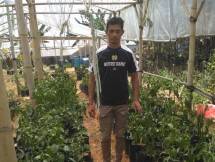 Petani cabai di Cianjur