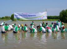 PT Bekasi Fajar Industrial Estate Tbk.(&ldquo;BEST&rdquo;) telah melakukan kegiatan penanaman mangrove melalui wadah MM2100 Peduli, sinergi dengan PT Megalopolis Manunggal Industrial Development (MMID) dan keikutsertaan para tenant dari Kawasan Industri MM2100. 