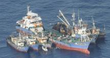 Operasi Udara Maritim Bakamla RI Pantau Perairan Indonesia Tengah