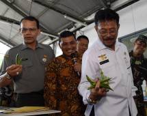 Mentan Syahrul Lepas Ekspor Edamame Jember ke Jepang