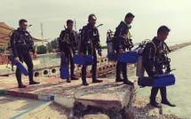 Peringati Dirgahayu Bakamla RI di Bawah Laut 
