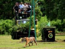 Tomy Winata Sayangkan Pernyataan Plt. Bupati Muara Enim Soal Harimau