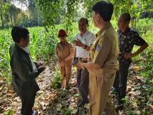 Perguruan Tinggi Serius Dampingi Pilot Project Korporasi Perbenihan Jagung Hibrida 