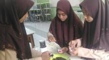 Wow Tiga Siswi SMA Ini Sulap Jantung Pisang Jadi Obat Diabetes