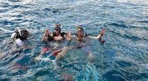 Inilah Lokasi Diving Paling Bagus di Sumba Barat Daya NTT