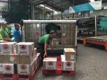 Garuda Indonesia Angkut Bantuan 10 Ribu Masker dari BNPB Bagi WNI di Tiongkok